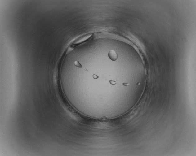 X0000111820107200908061143