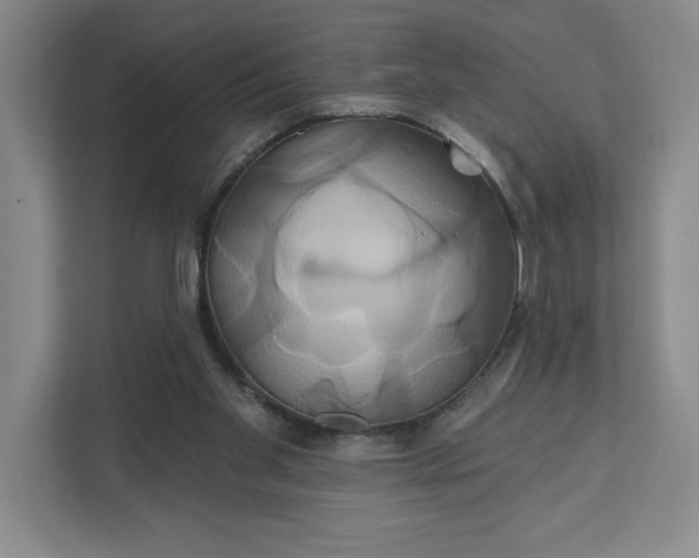 X0000111820109200908061143