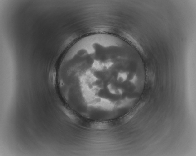 X0000111820110200908061143