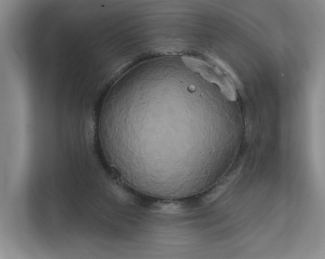 X0000111820113200908061143