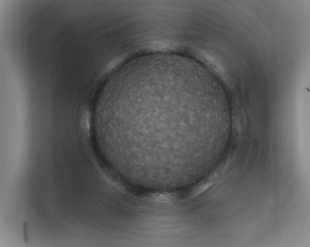 X0000111820115200908061143