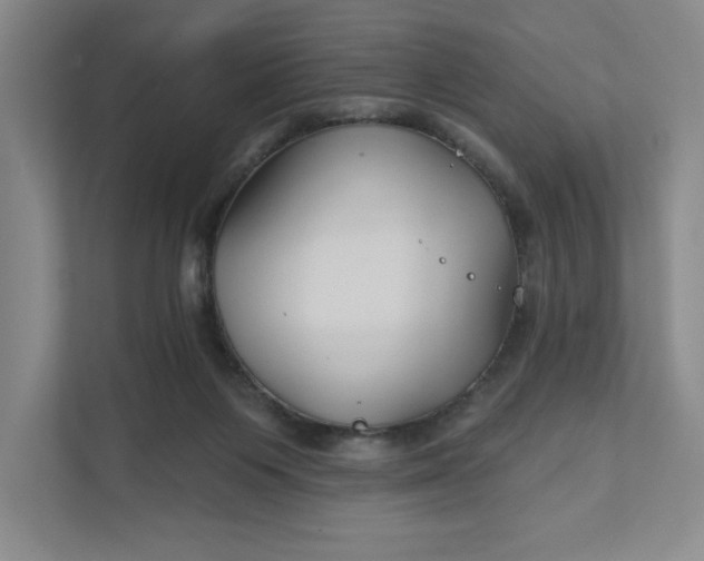 X0000111820119200908061143