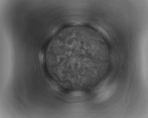 X0000111820123200908061143