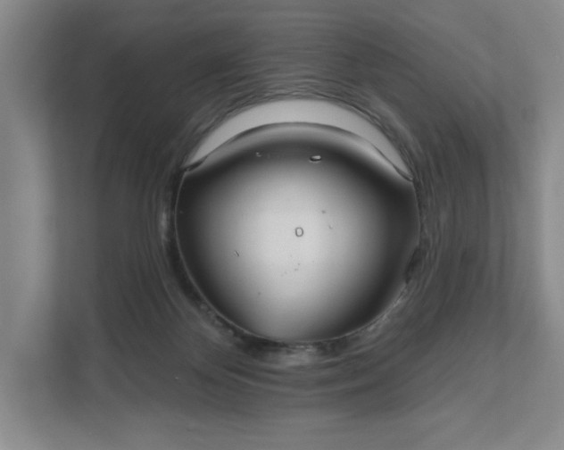 X0000111820124200908061143