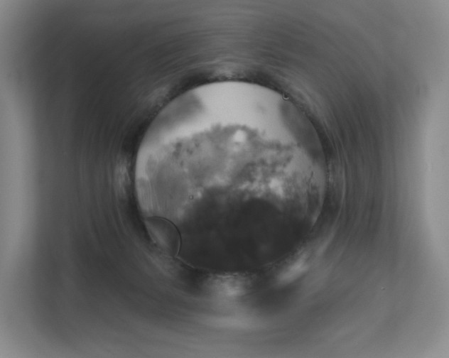 X0000111820127200908061143