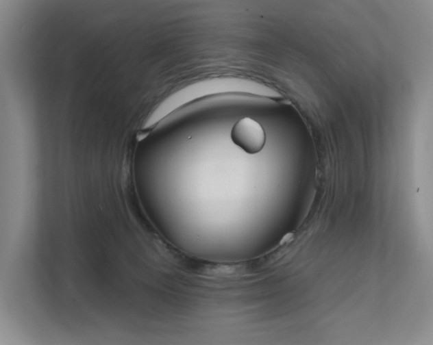 X0000111820129200908061143