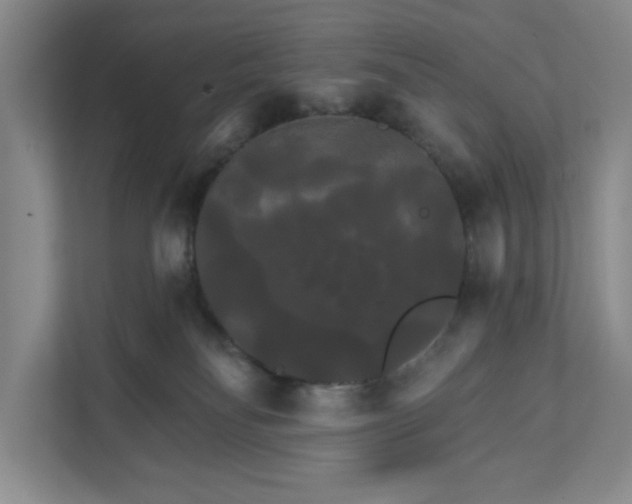 X0000111820134200908061143