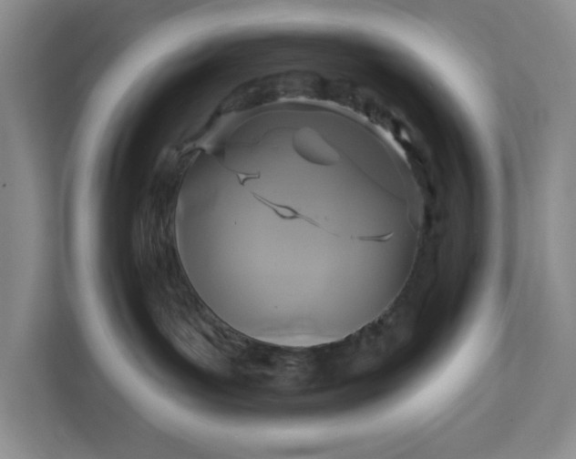 X0000111820143200908061143