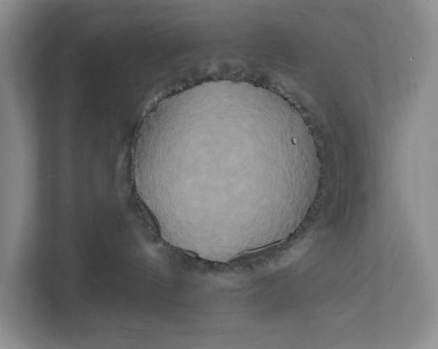 X0000111820144200908061143