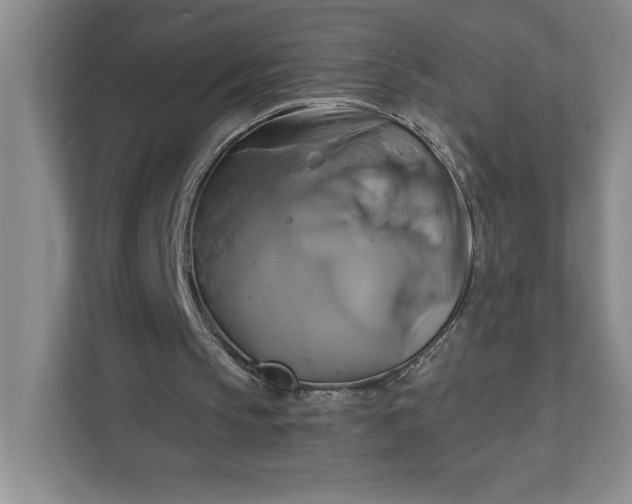 X0000111820145200908061142