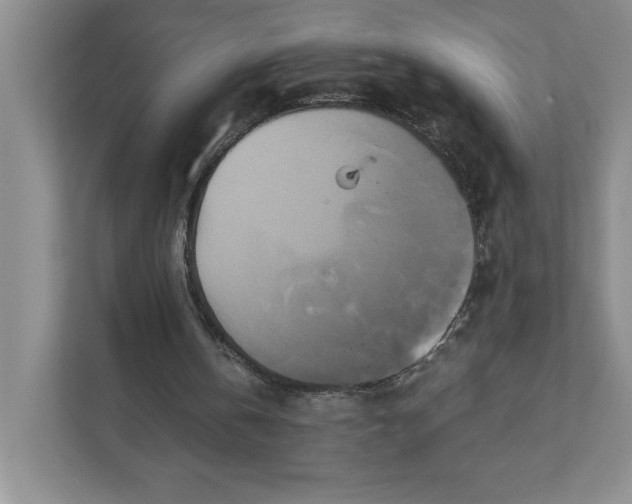 X0000111820146200908061142