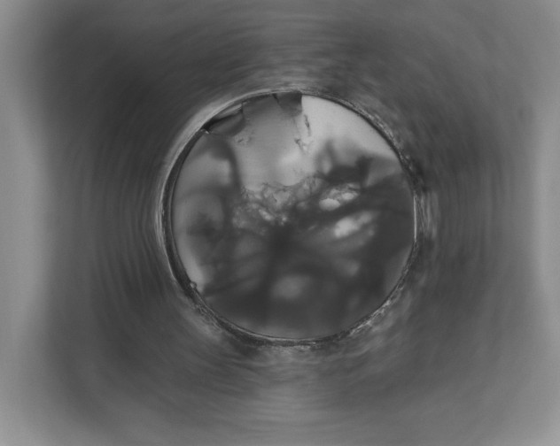 X0000111820147200908061142