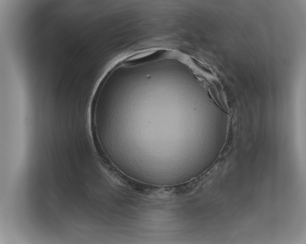 X0000111820148200908061142