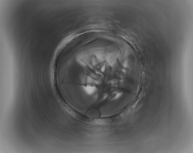 X0000111820149200908061142