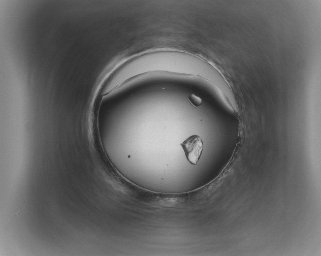 X0000111820152200908061142