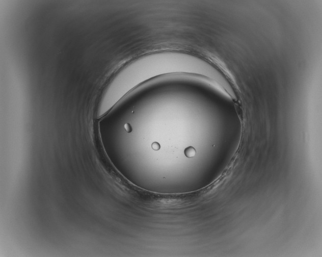 X0000111820154200908061142