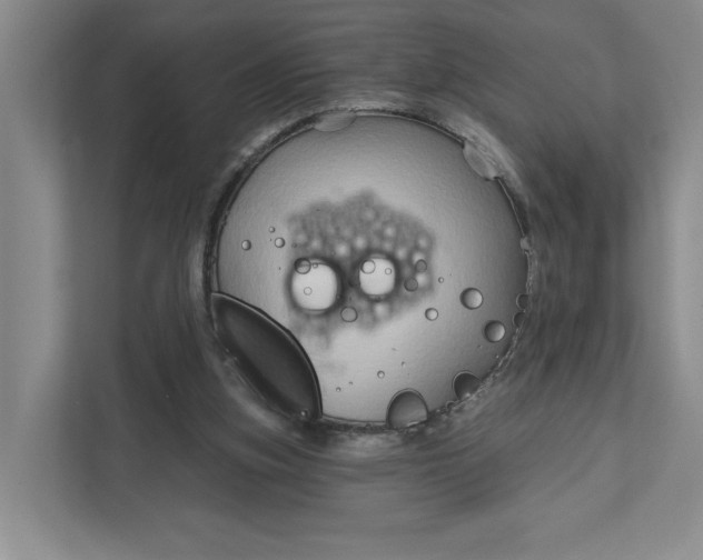 X0000111820155200908061142