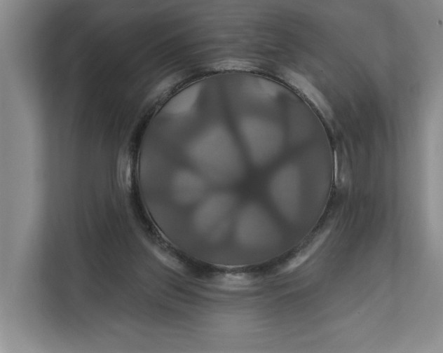 X0000111820157200908061142