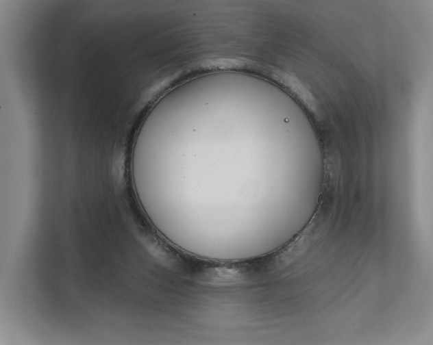 X0000111820159200908061142