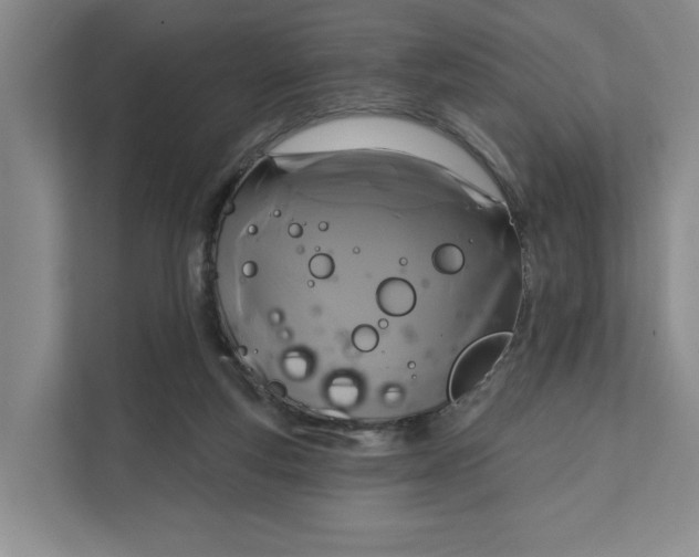 X0000111820163200908061142