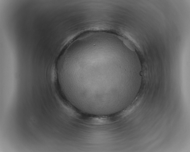 X0000111820164200908061142