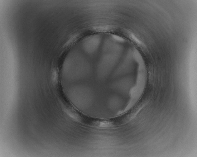 X0000111820165200908061142