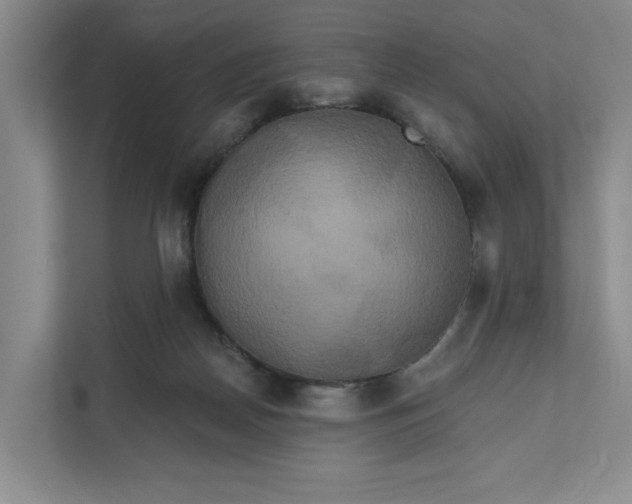 X0000111820170200908061142