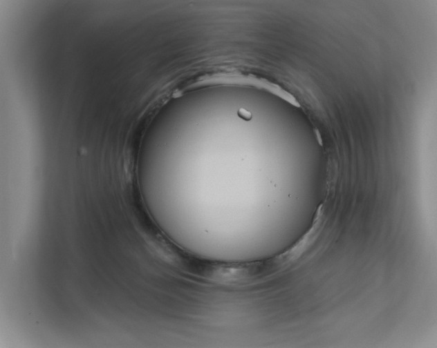 X0000111820174200908061142