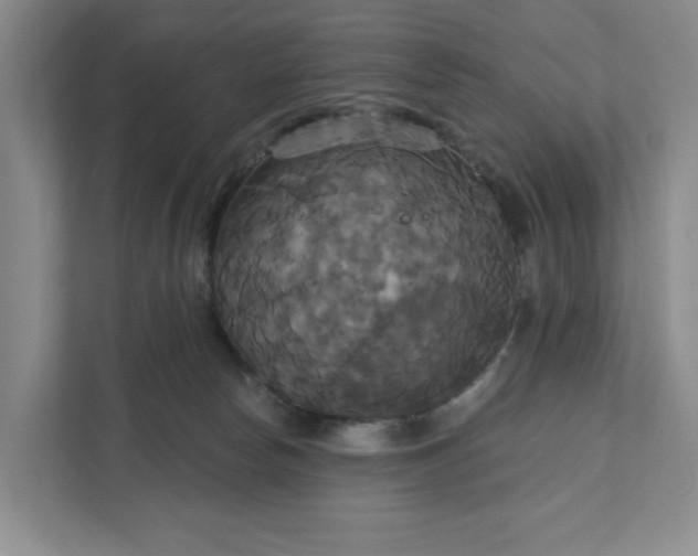 X0000111820178200908061143