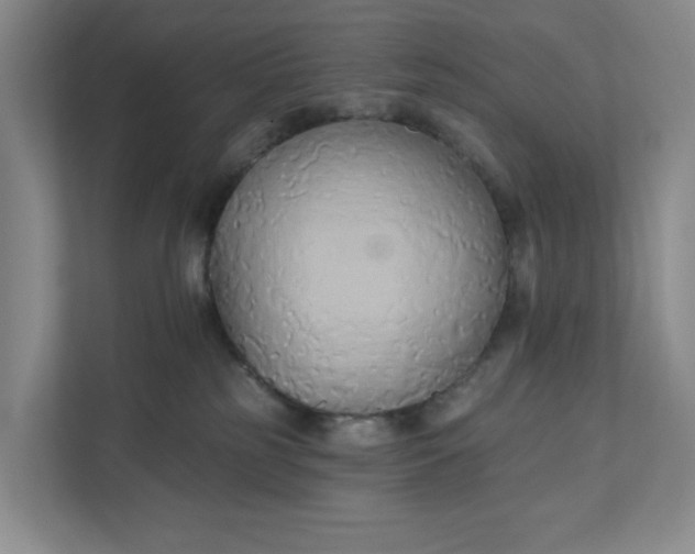 X0000111820185200908061143