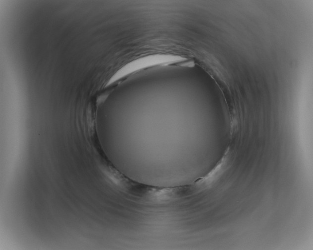 X0000111820186200908061143