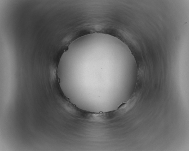 X0000111820188200908061143