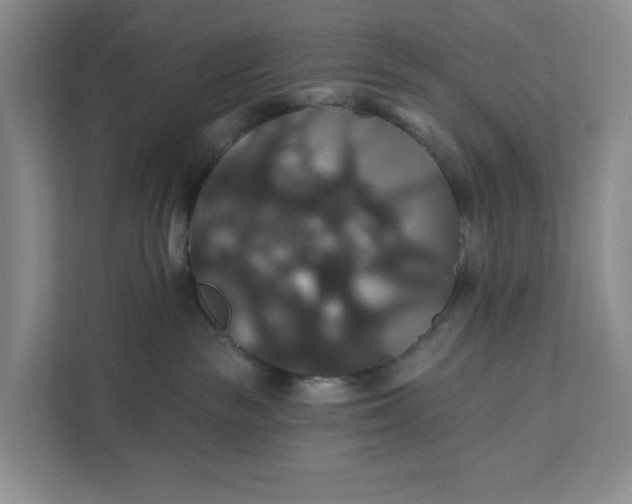 X0000111820189200908061143