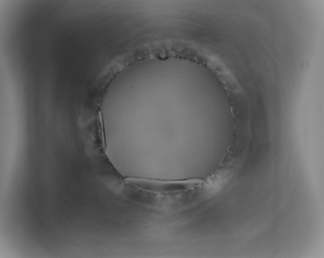 X0000111820192200908061143