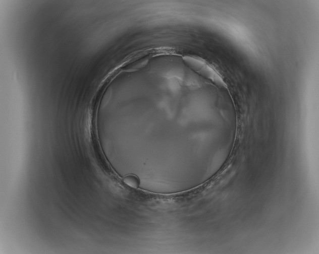 X0000111820194200908061142