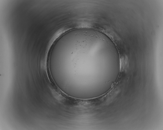 X0000111820195200908061142