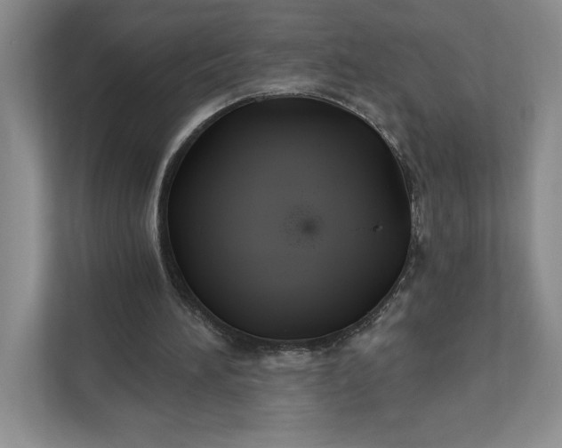 X0000111820196200908061142