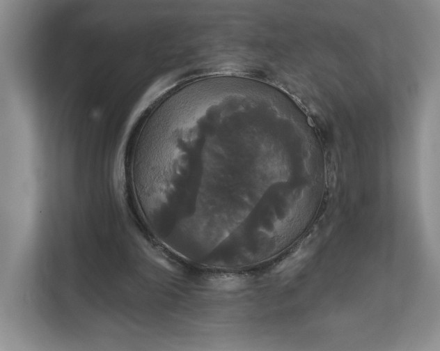 X0000111820198200908061142