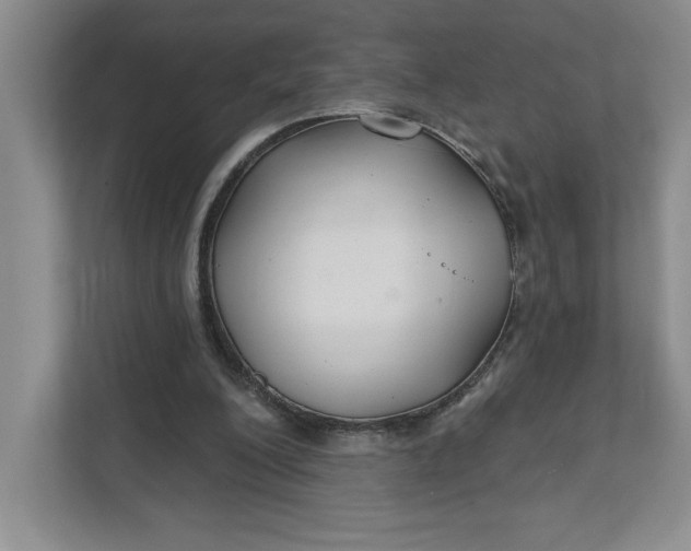 X0000111820200200908061142