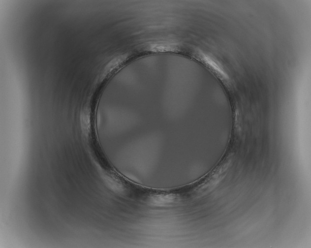 X0000111820202200908061142