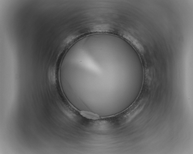 X0000111820203200908061142