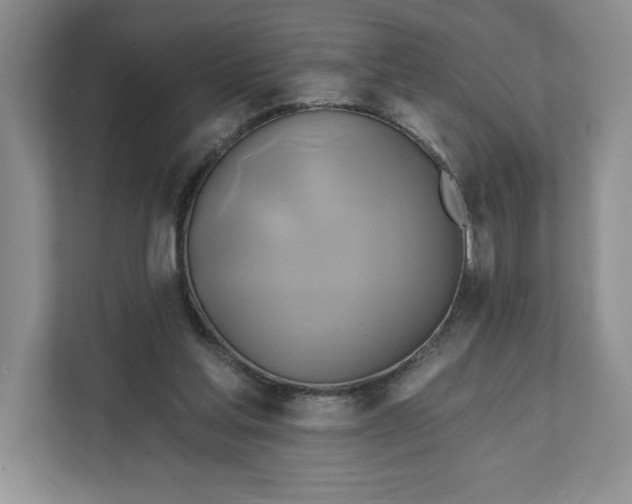 X0000111820205200908061142