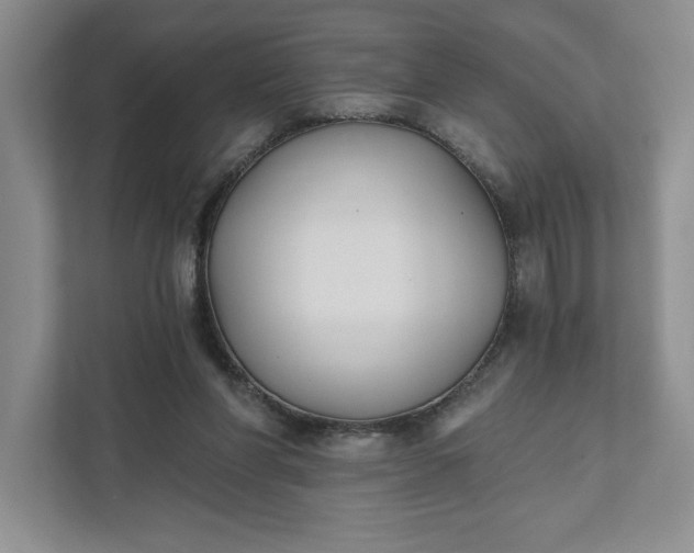 X0000111820206200908061142