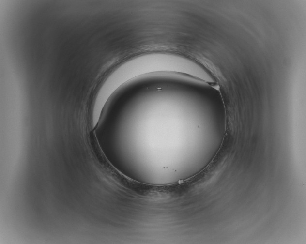 X0000111820207200908061142