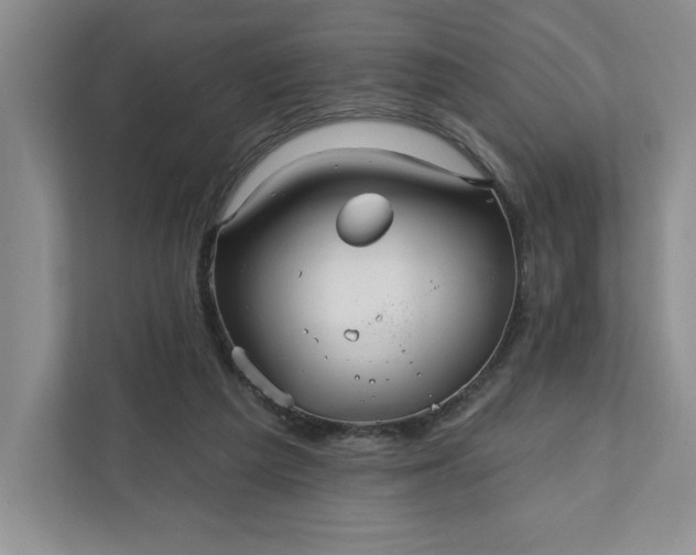 X0000111820209200908061142