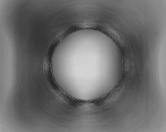 X0000111820210200908061142