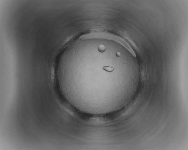 X0000111820211200908061142