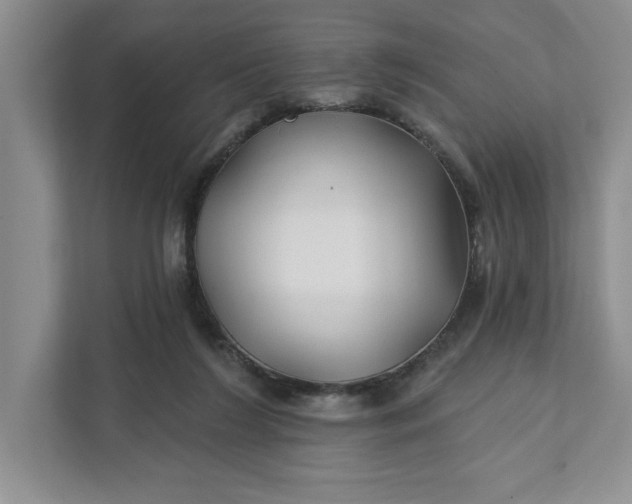 X0000111820212200908061142