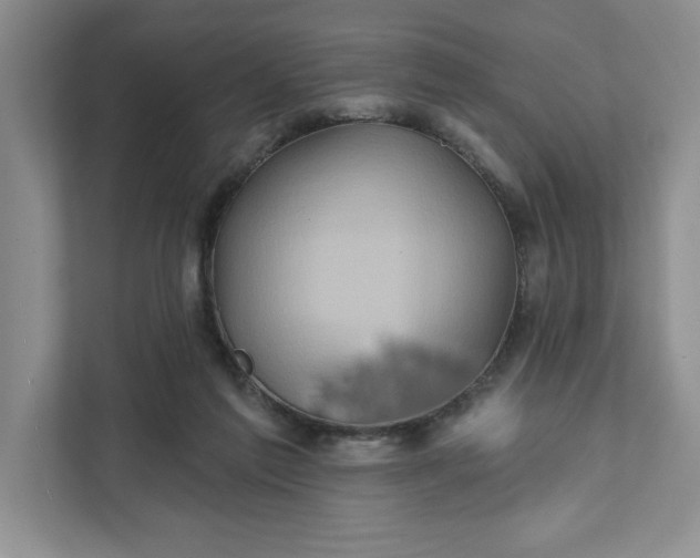 X0000111820213200908061142