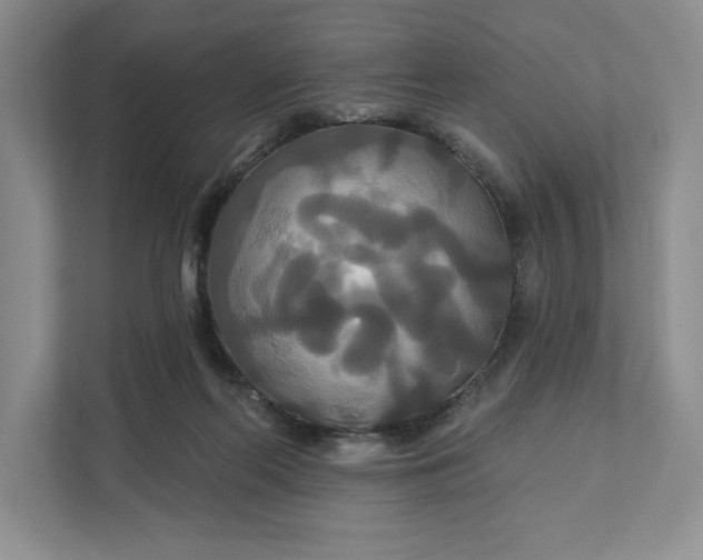 X0000111820214200908061142